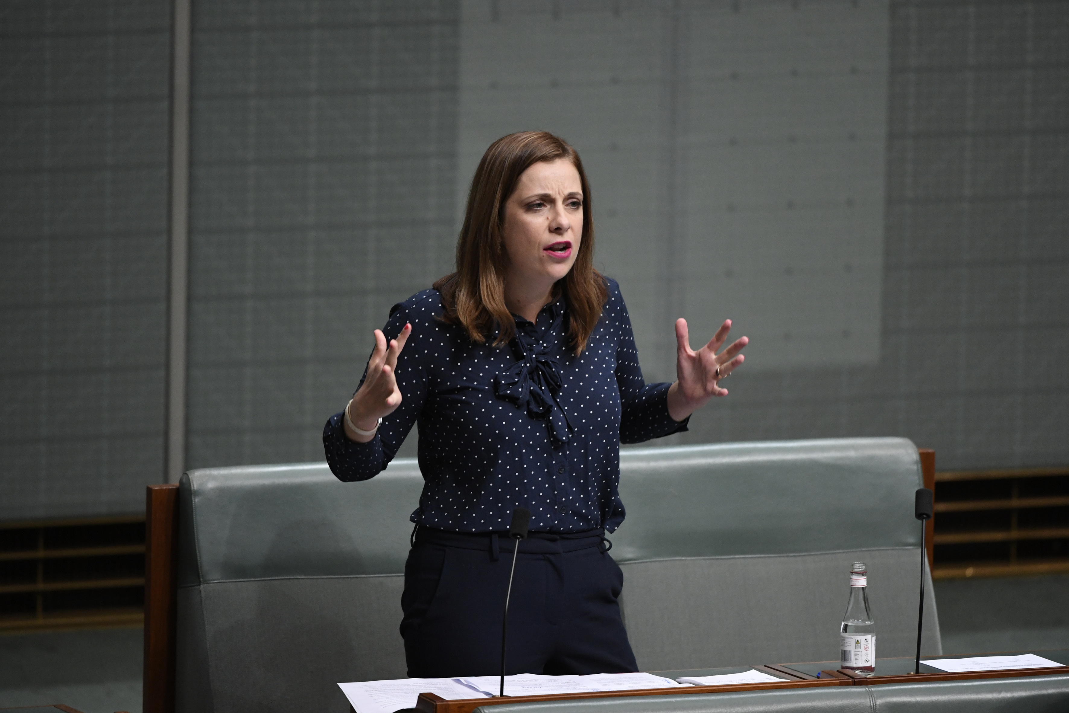 Pic: Speaking in the House of Representatives about Australian manufacturing.